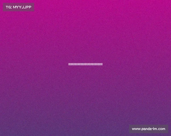 全国赛事冠军证书闪耀荣耀光芒承载冠军梦想光辉历程