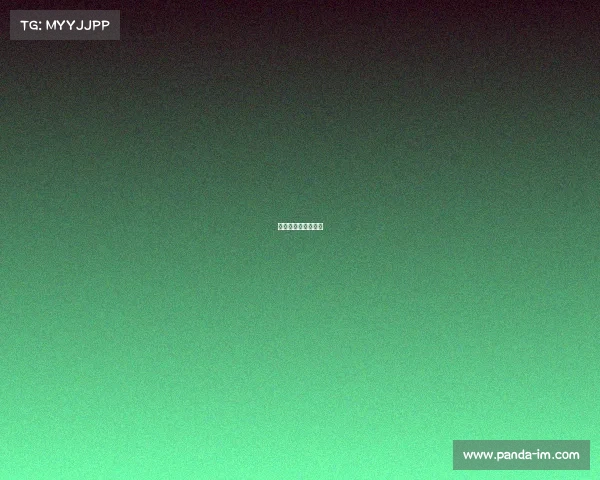 女排赛事情况表最新